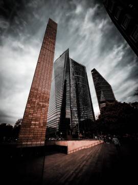 MANAGEMENT CONSULTING & CRISIS MANAGEMENT